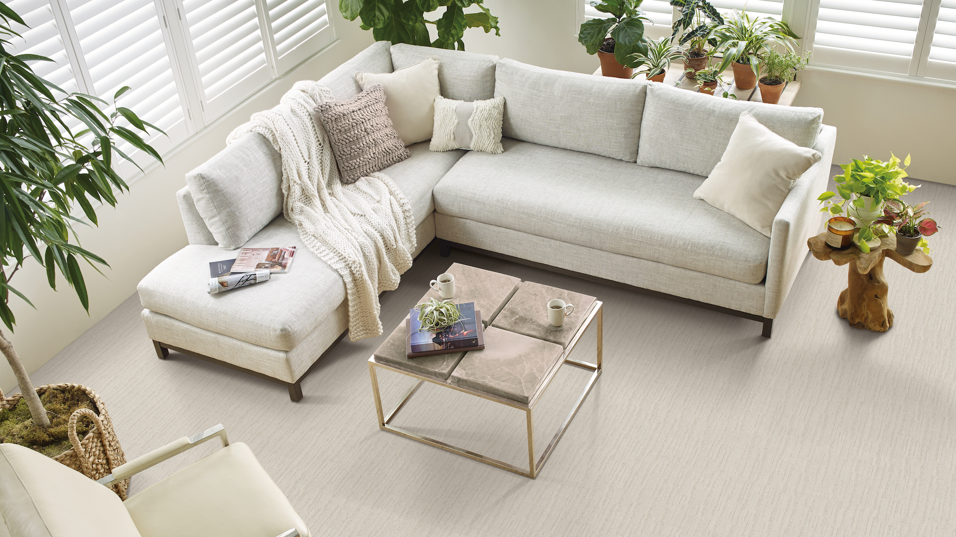 cozy carpets in a neutral off white living room